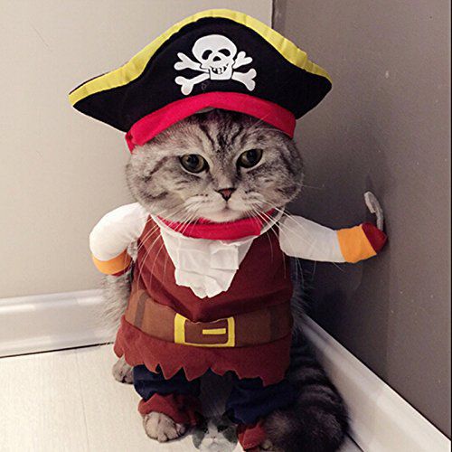 4) Peaches the Pirate